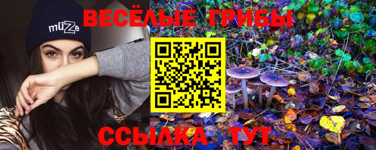 Чебоксары  наркота  Вход с VPN  Галлюциногенные грибы мицелий 